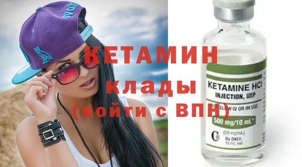 прущие грибы Гусиноозёрск