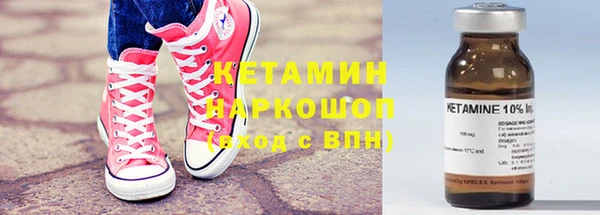 прущие грибы Гусиноозёрск