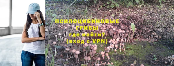 PSILOCYBIN Гусев