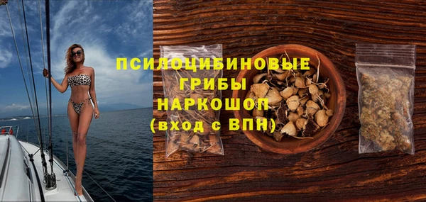 мяу мяу кристалл Гусь-Хрустальный
