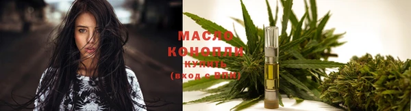 прущие грибы Гусиноозёрск