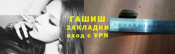 прущие грибы Гусиноозёрск