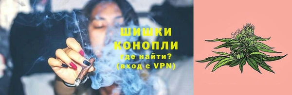 прущие грибы Гусиноозёрск