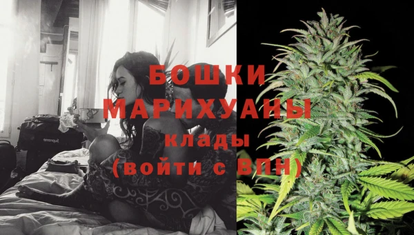 прущие грибы Гусиноозёрск