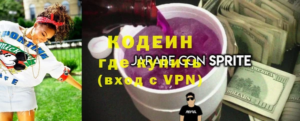 прущие грибы Гусиноозёрск