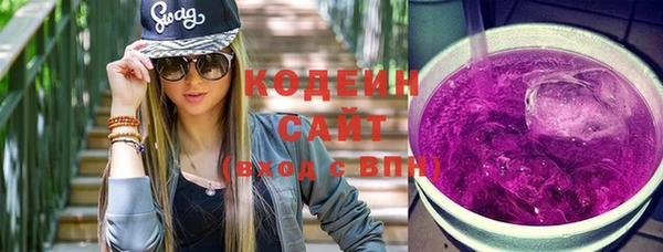 прущие грибы Гусиноозёрск