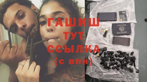 прущие грибы Гусиноозёрск