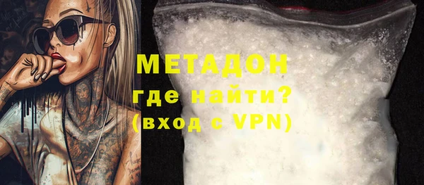 прущие грибы Гусиноозёрск