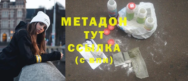 прущие грибы Гусиноозёрск